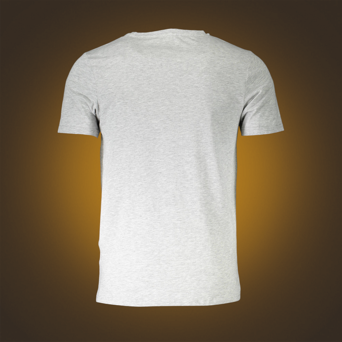 Camiseta gris de manga corta Aeronautica Militare con cuello redondo, vista trasera sobre fondo degradado
