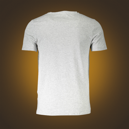 Camiseta gris de manga corta Aeronautica Militare con cuello redondo, vista trasera sobre fondo degradado