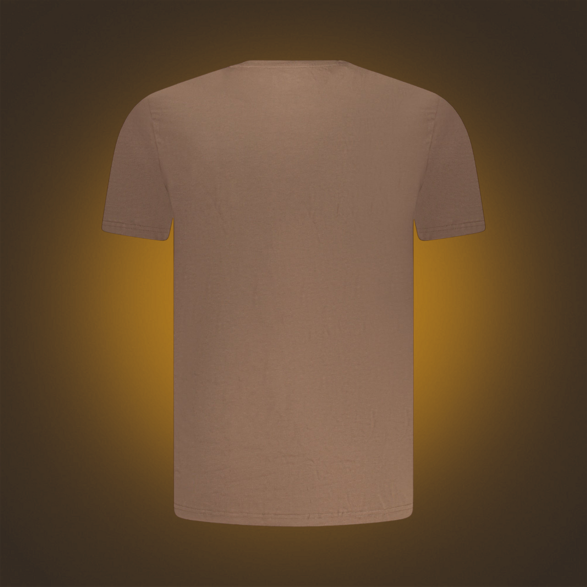 Camiseta marrón de manga corta con cuello redondo de la marca liquidationlive, vista trasera sobre fondo degradado.
