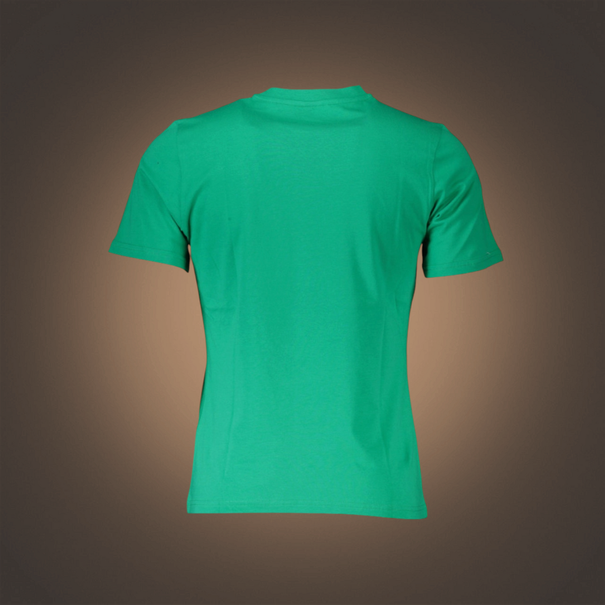 Camiseta de manga corta North Sails en color verde con cuello redondo, vista trasera