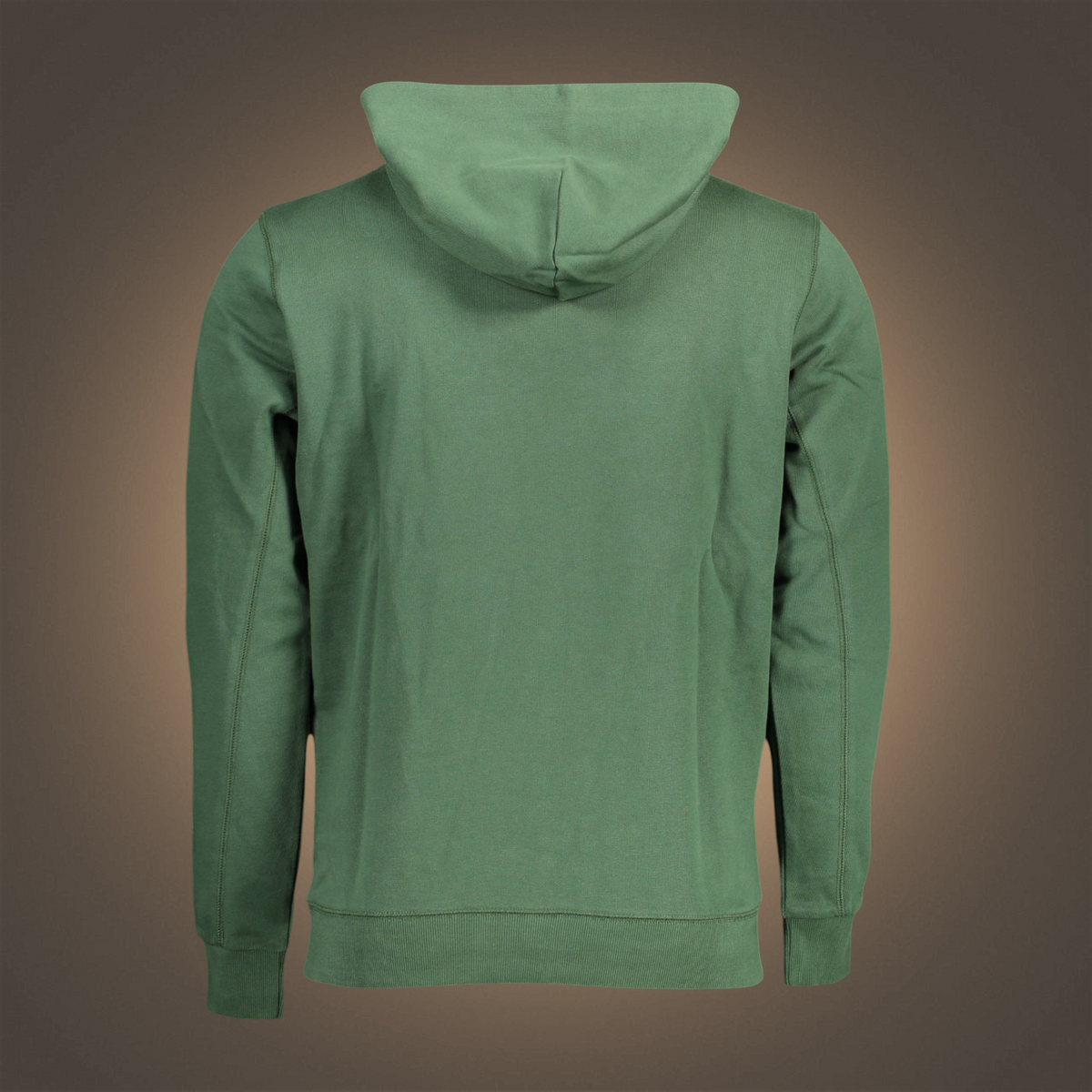 Vista trasera de sudadera con capucha verde de liquidationlive U.S. Polo Assn. con diseño deportivo clásico
