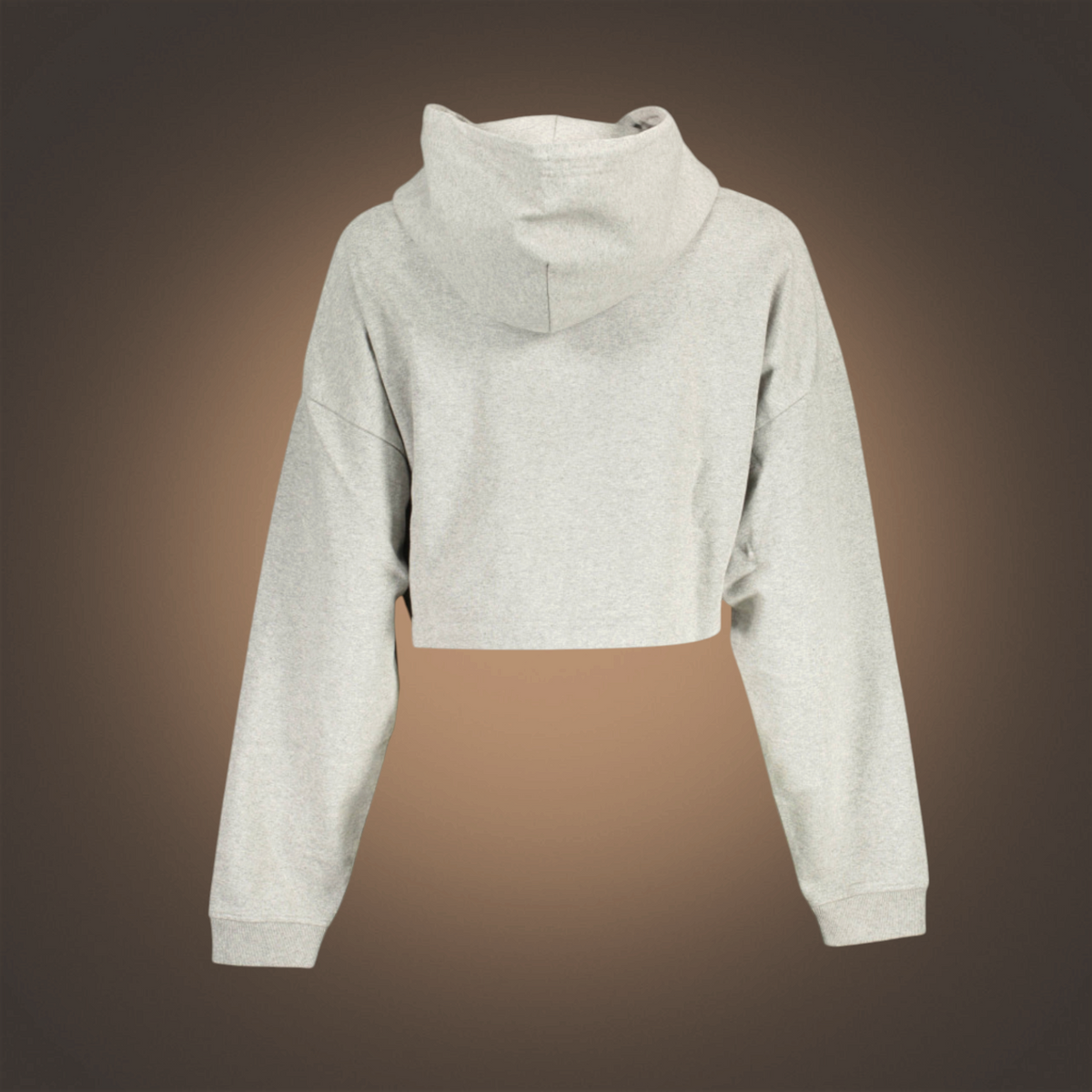 Sudadera cropped gris de liquidationlive con capucha y corte corto, vista trasera sobre fondo degradado